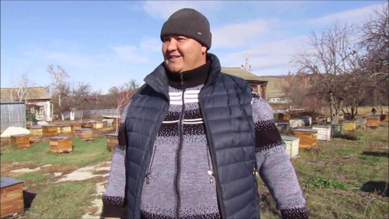 Наш омшаник (зимовник).