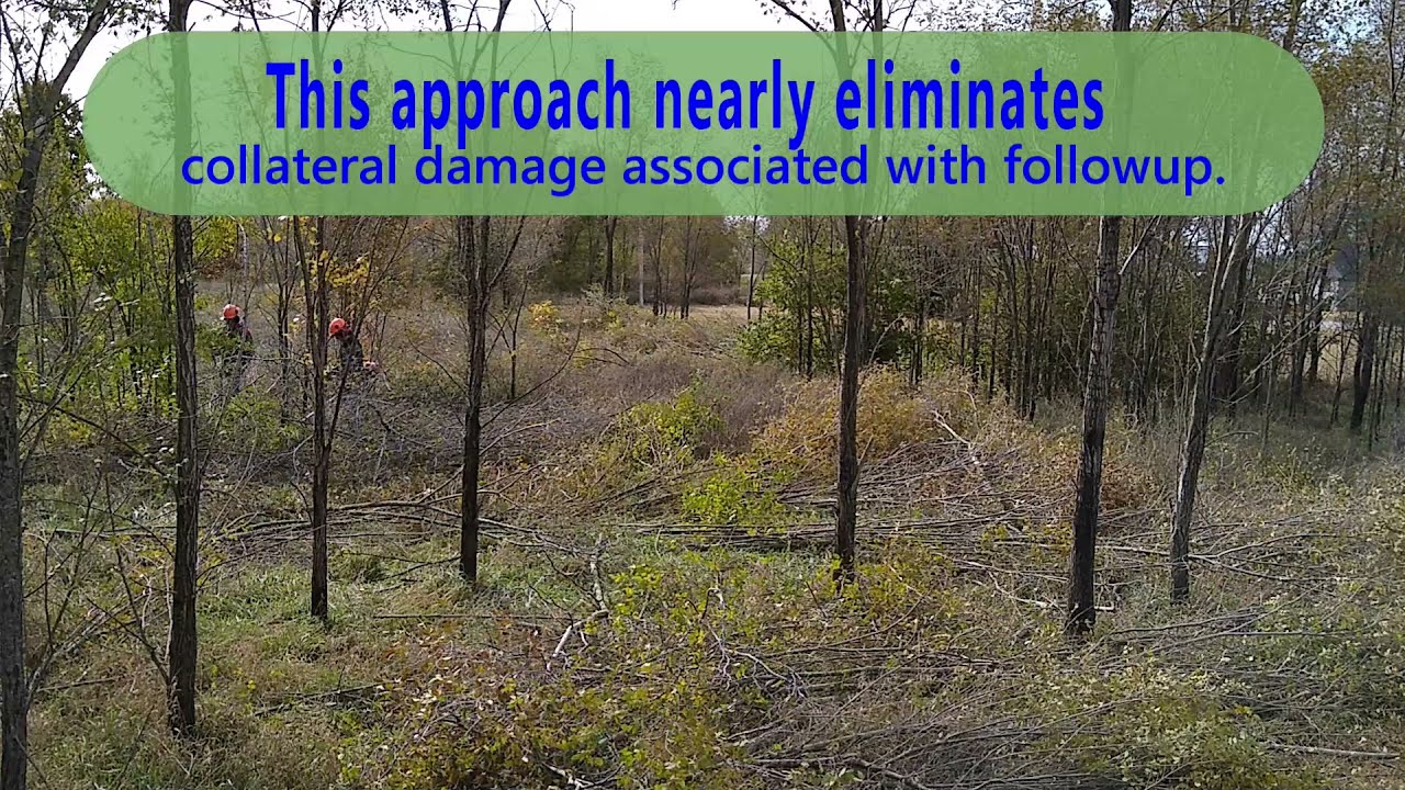 Sand Prairie Restoration Time Lapse