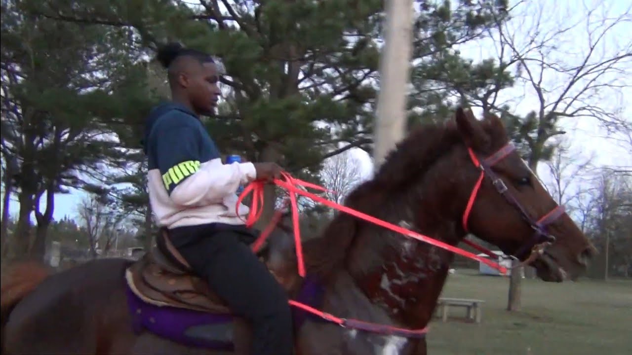 A Day at Big Money Stables