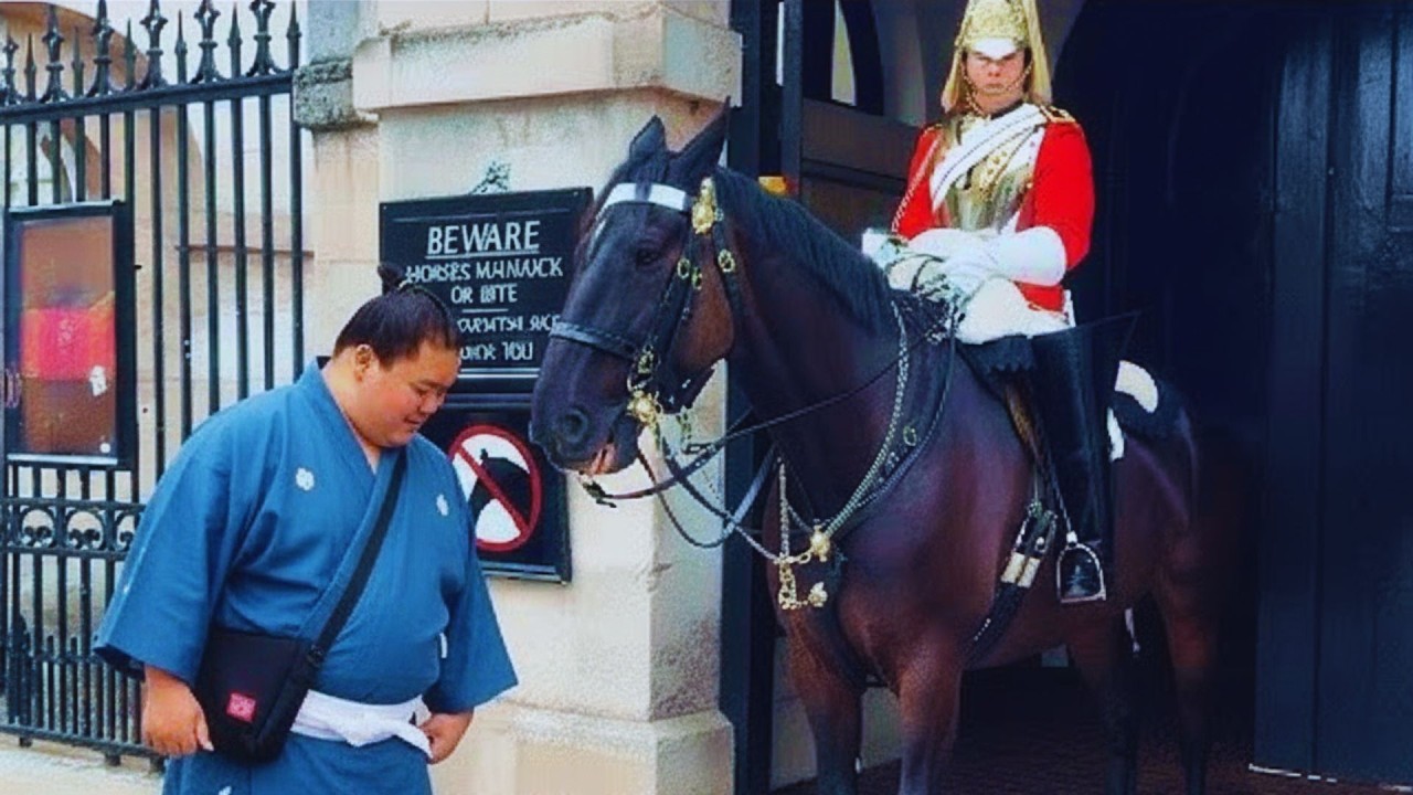 Wenn ein Sumoringer tiefen Respekt vor der königlichen Garde zeigt