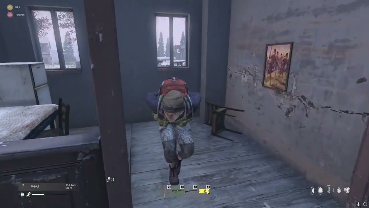 Dayz Trivia but I need better questions