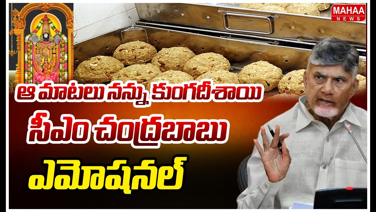 ఆ మాటలు నన్ను కుంగదీశాయి..సీఎం చంద్రబాబు ఎమోషనల్ | CM Chandra Babu Emotional Speech | Mahaa News