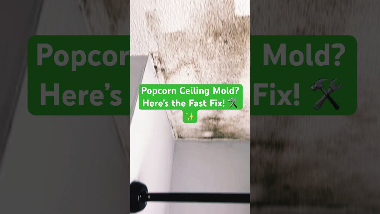 Popcorn Ceiling Mold? 🧼✨ Safe & Easy Cleaning Hack!