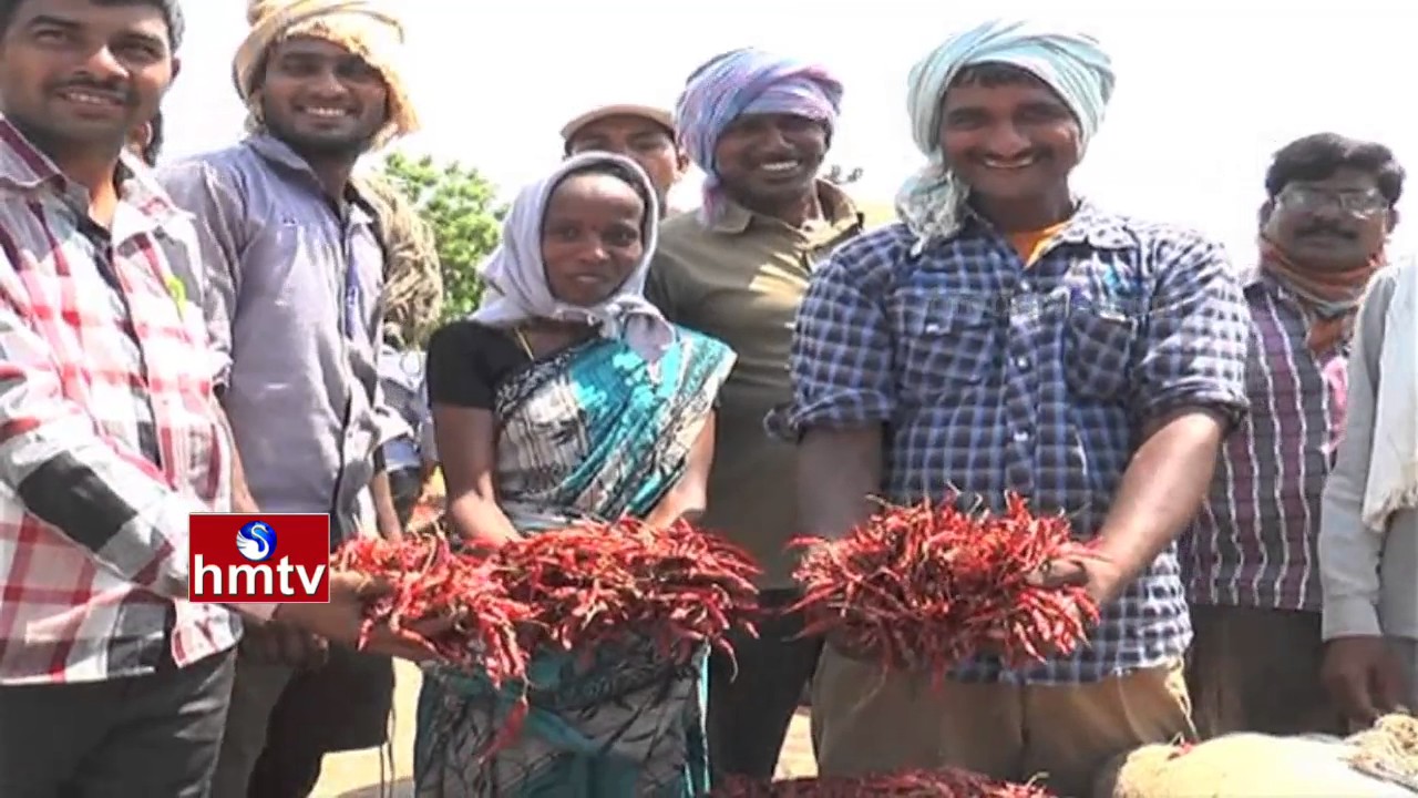 Guntur Red Chilli Farmers Gain Huge Profits Using Online Methods | Nela Thalli | HMTV