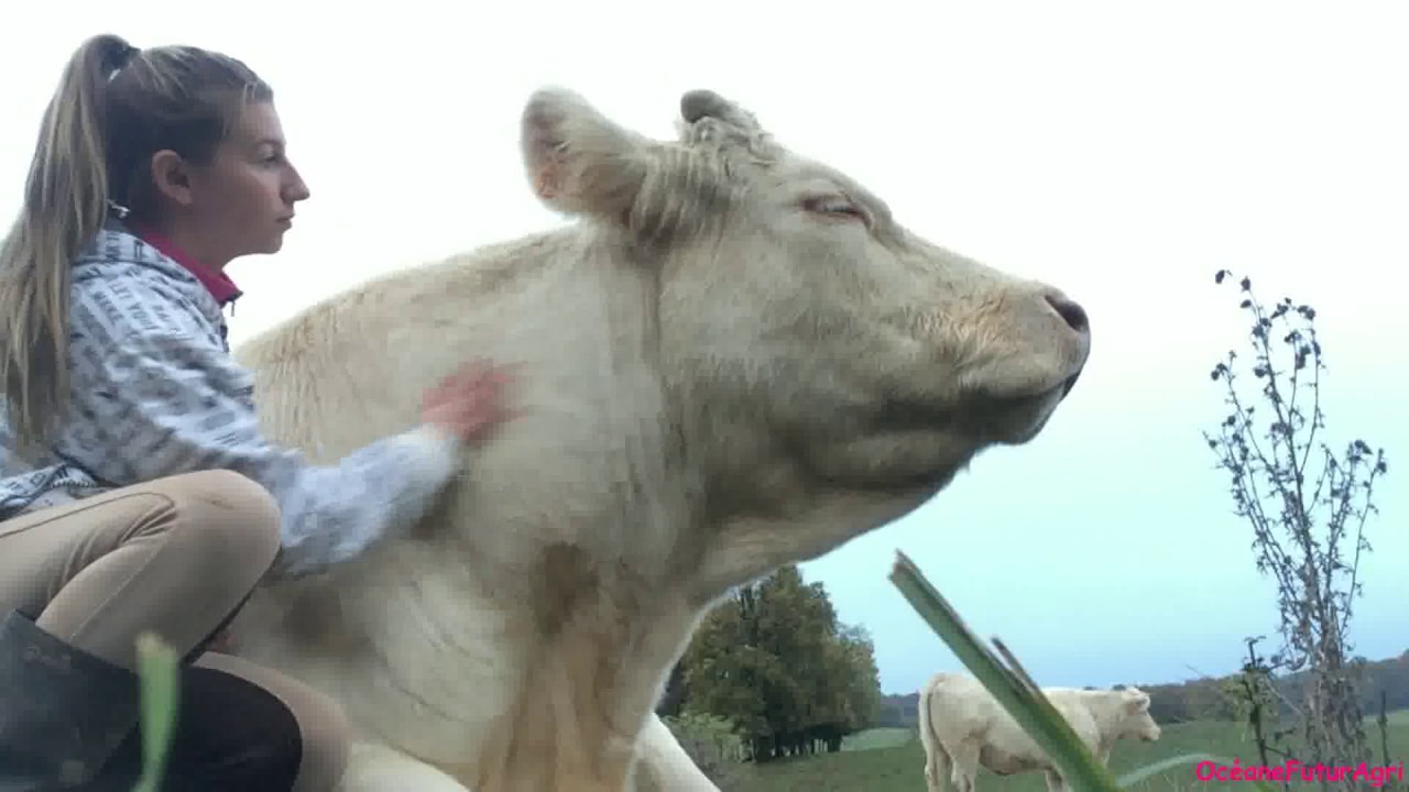 Vidéo spéciale 1.000 Abonnés ! -Océane Futur Agricultrice