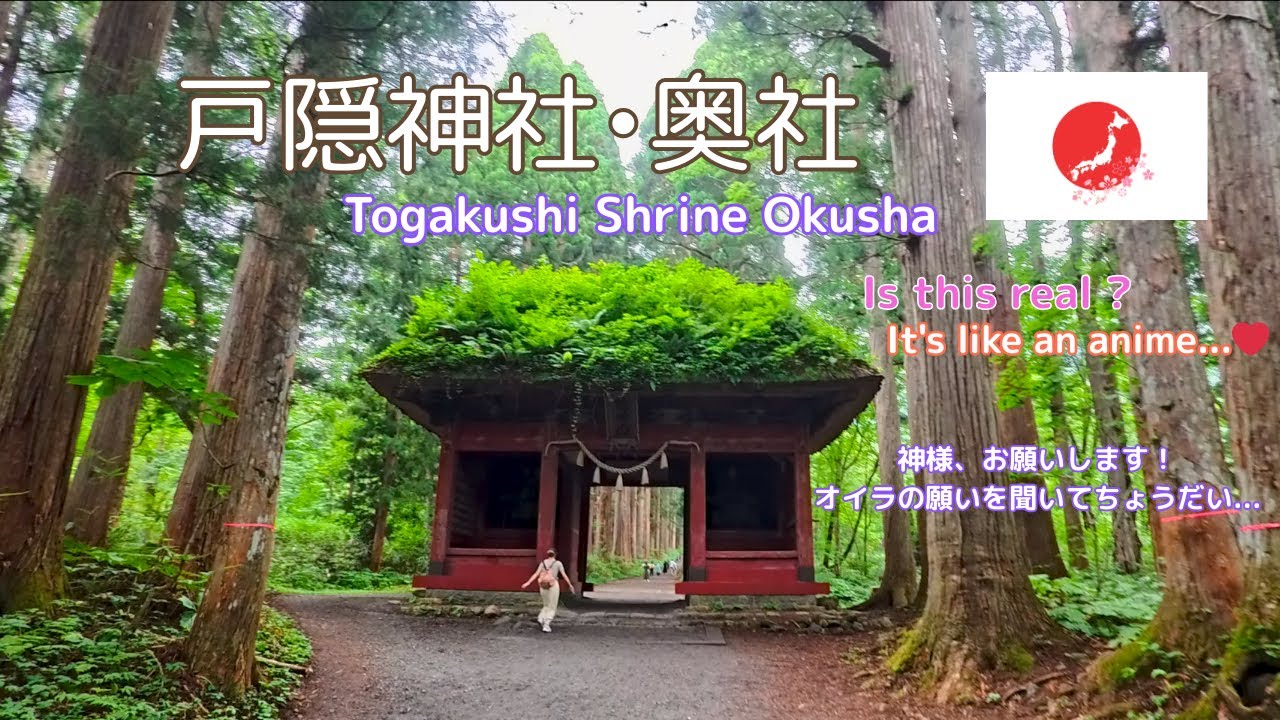 【戸隠神社・長野・信州】戸隠神社・奥社・中社。戸隠そばを堪能 | 旅vlog | 400年以上の杉が立ち並ぶ圧巻の景観。神秘と伝説が息づく霊峰の社 | まるでジブリの世界