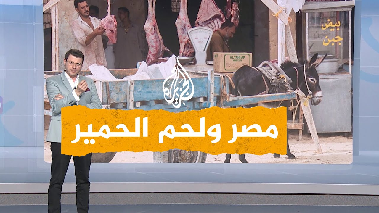 شبكات| لماذا لا نأكل لحم الحمير؟ إعلامي مصري يتساءل