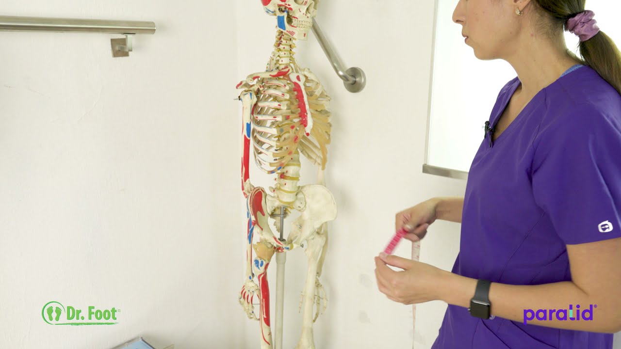 Toma de Medidas LSO (Lumbo Sacral Orthosis) - Ortesis Lumbosacra