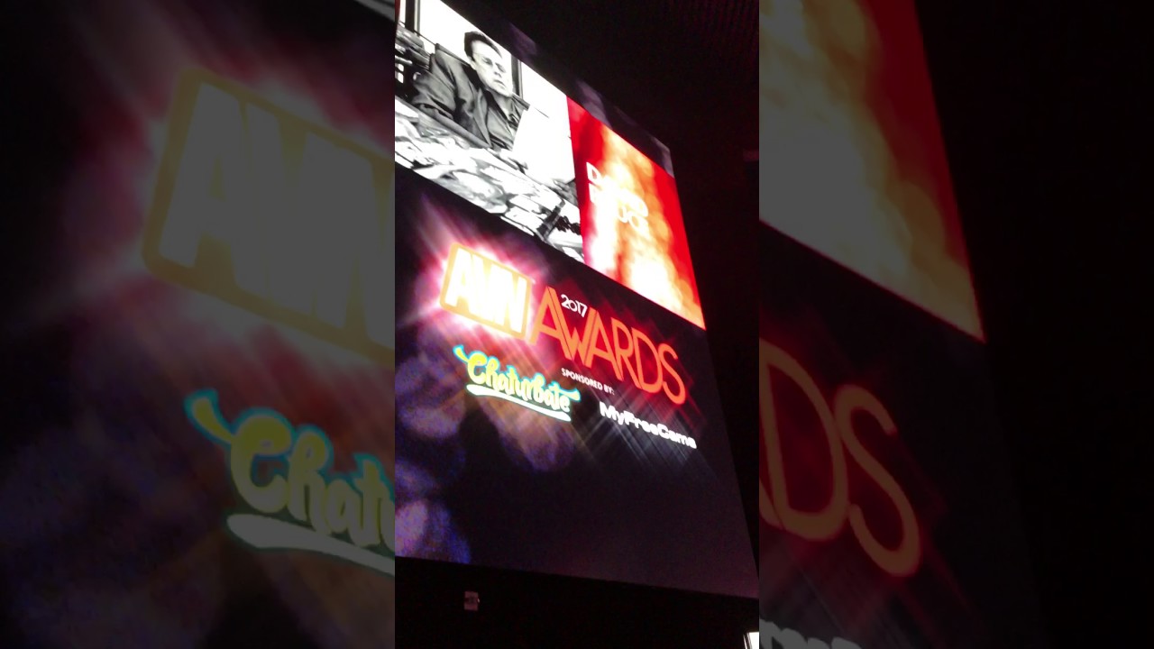 AVN2017 awards ceremony