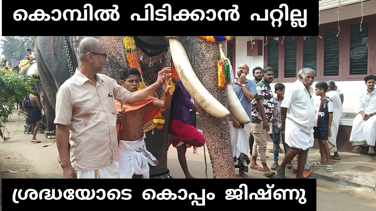 Puthuppally Sadhu l ആനയുടെ കൊമ്പിൽ പിടിക്കാൻ വന്നപ്പോൾ തടഞ്ഞു