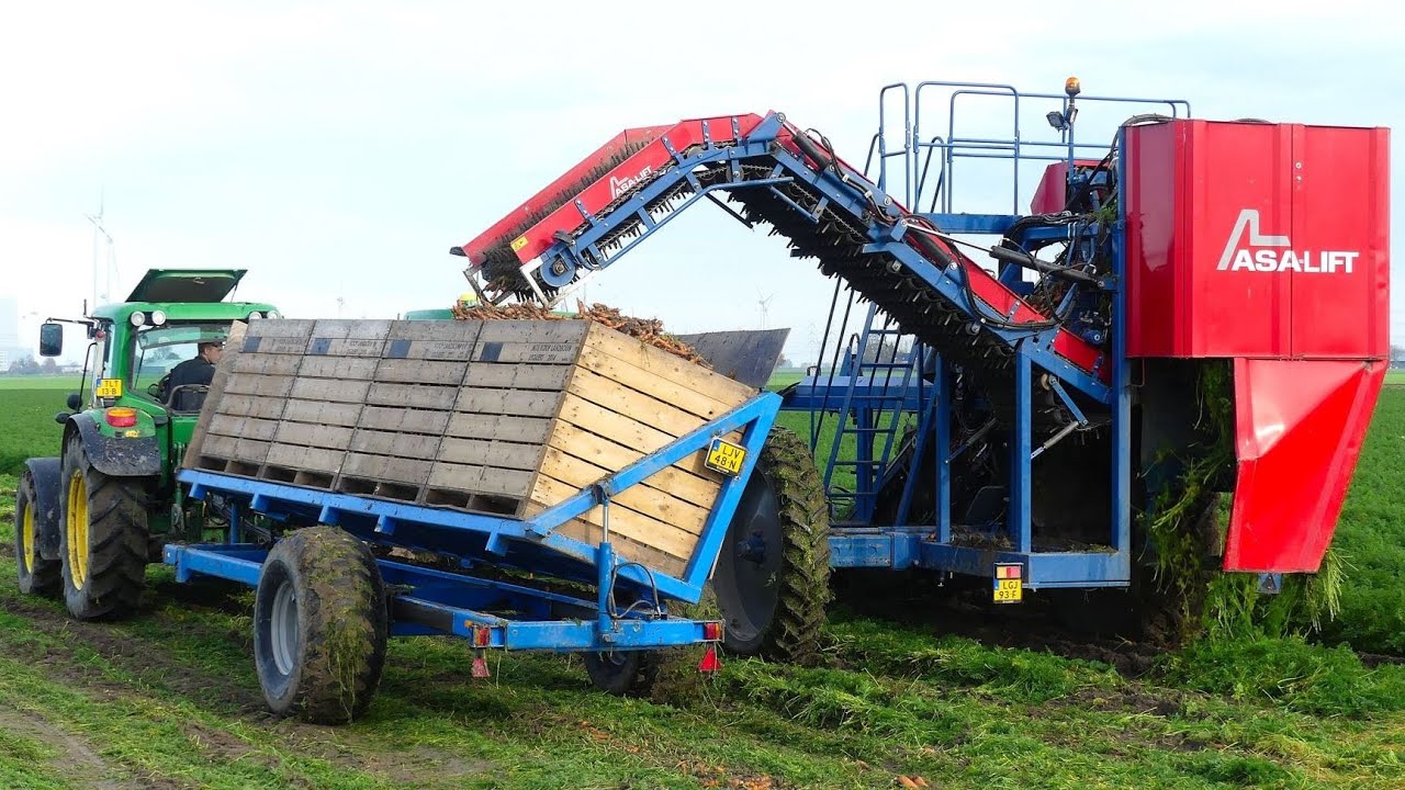Wortels rooien 2022. Harvesting carrots ASA-LIFT Rietema Oudeschip.