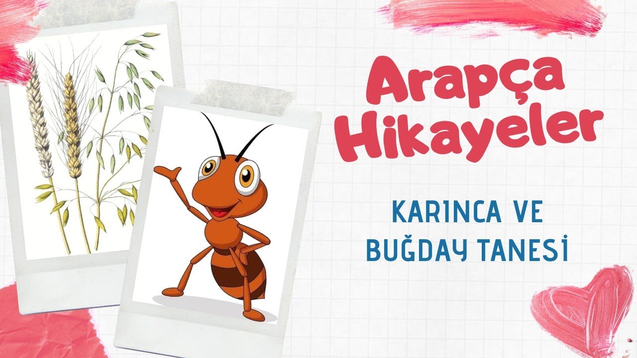 Arapça Hikayeler | Karınca ve Buğday Tanesi