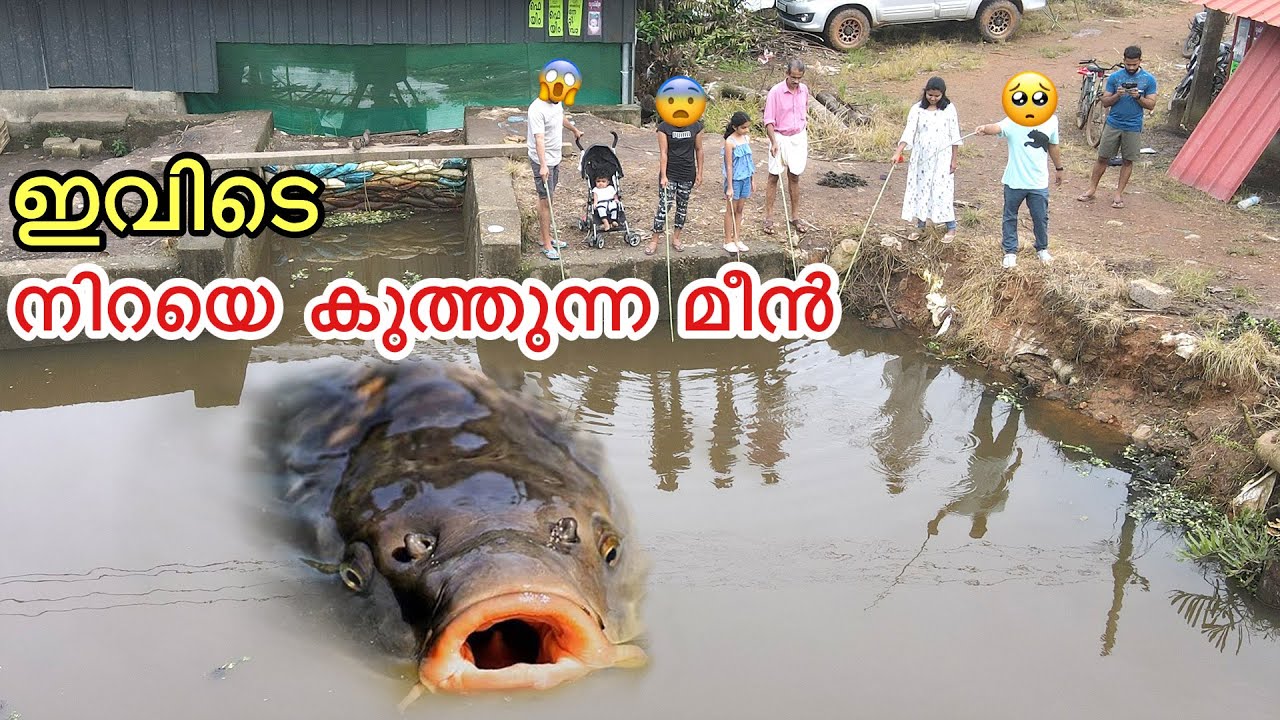 Oh my God..there are so many fish here&hellip; .. | Family Fishing Challege
