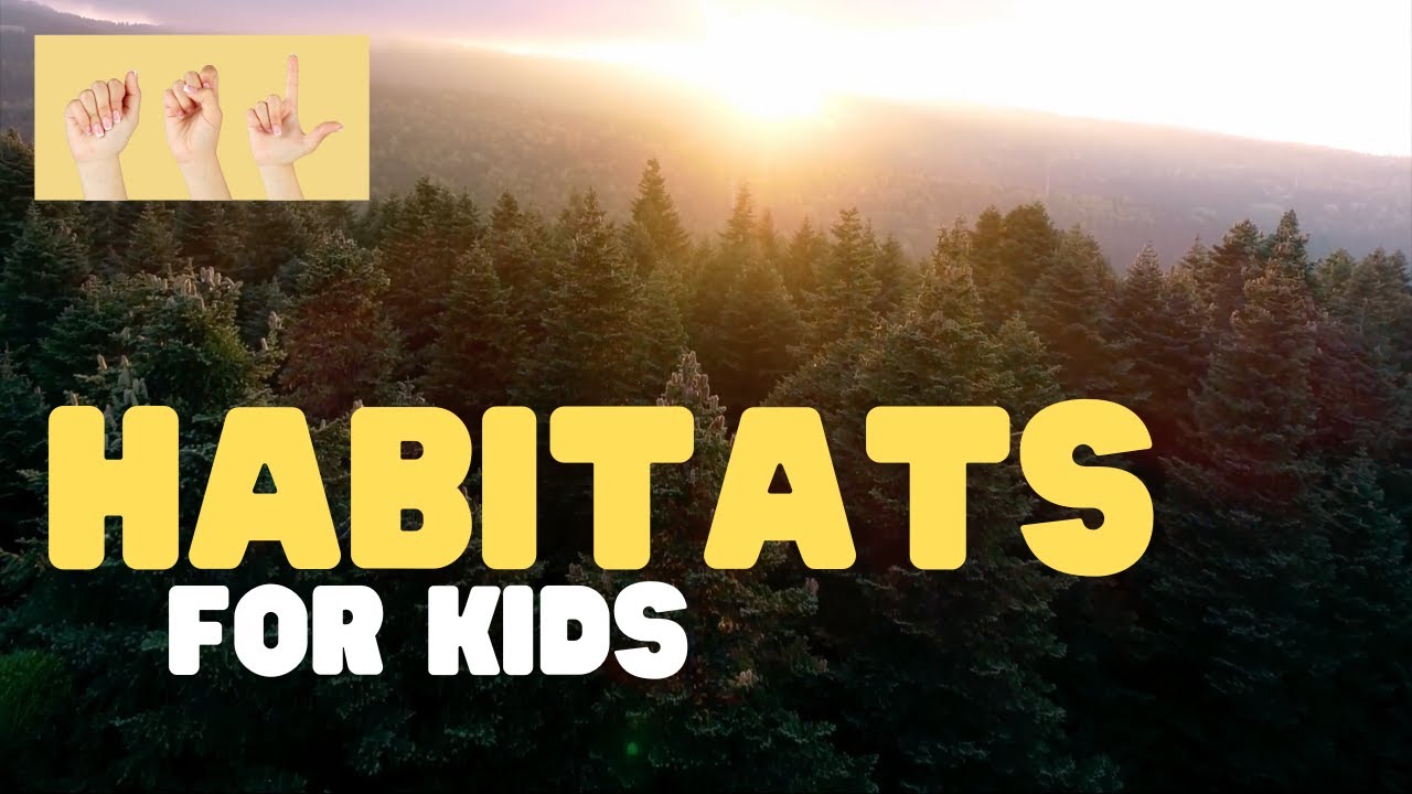 ASL Habitats for Kids