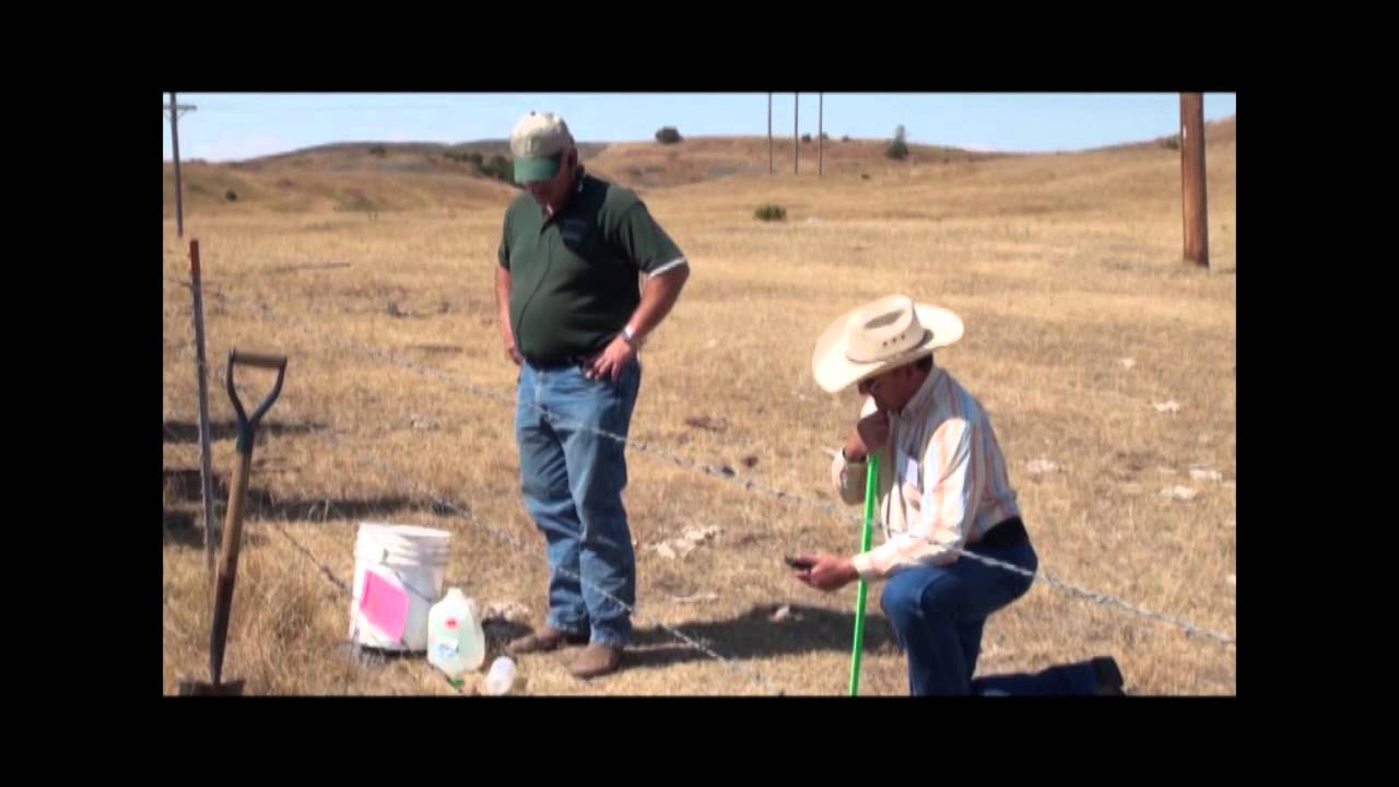 Soil Health & Water Infiltration