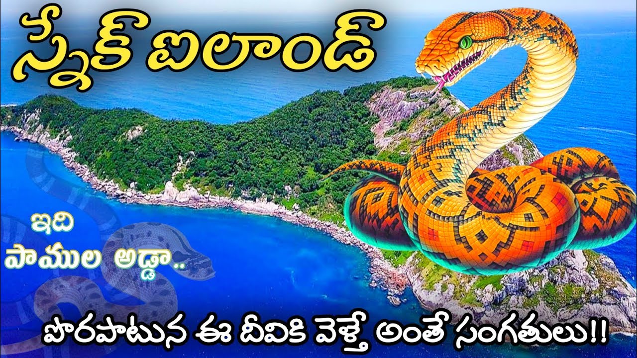 Snake Island || Most dangerous Island in Brazil Telugu