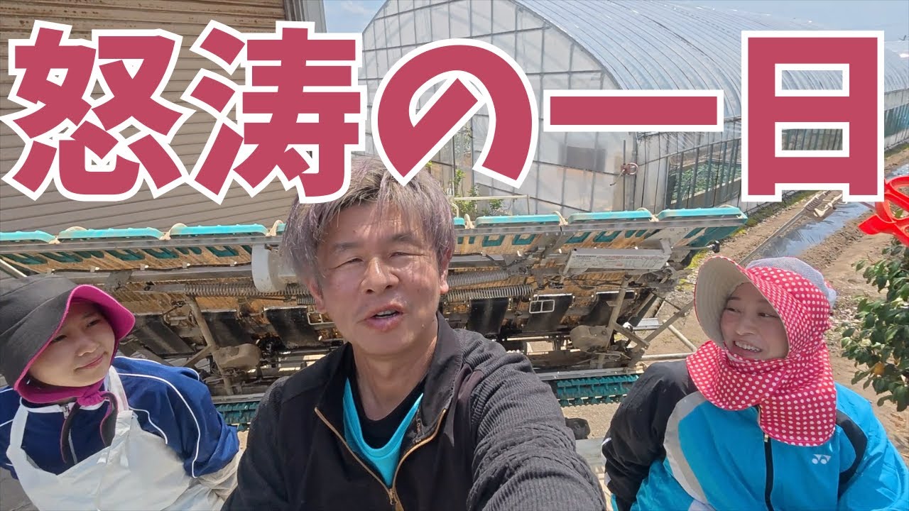 2025年田植え開始