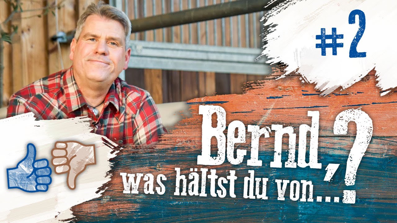 Bernd, was hältst du von...? #2 - Reitpads und Rollkur