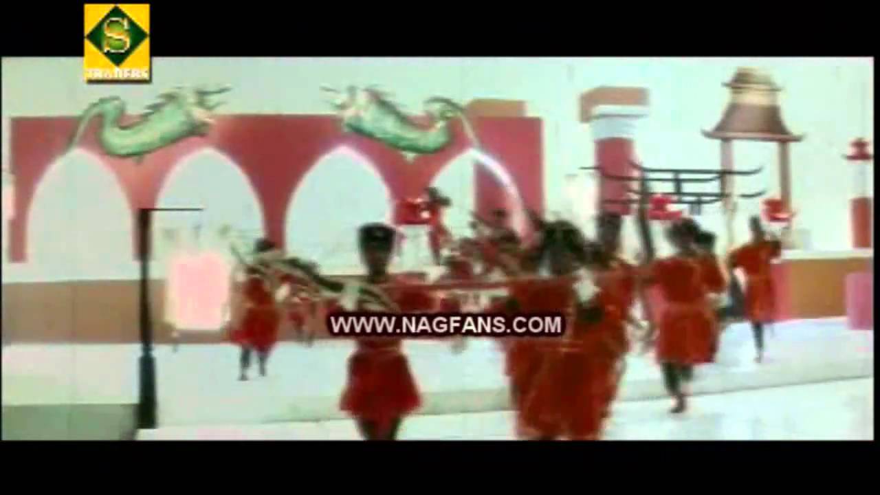 Vajram Nagarjuna Song - Avva Kavala Buvva Kavala : HD