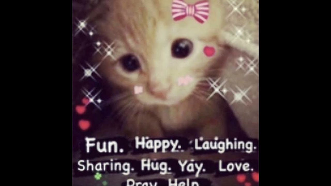 *free* shinju x vampboiclique type beat