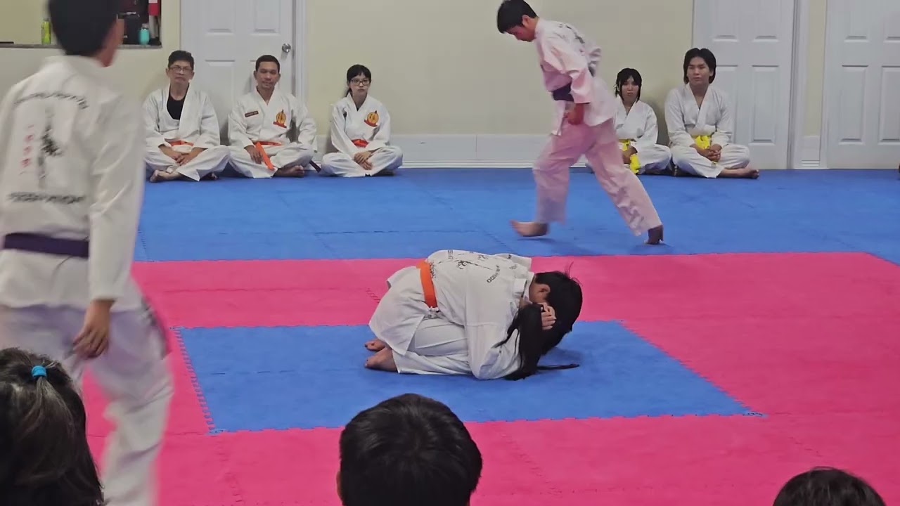 Hapkido purple belt test