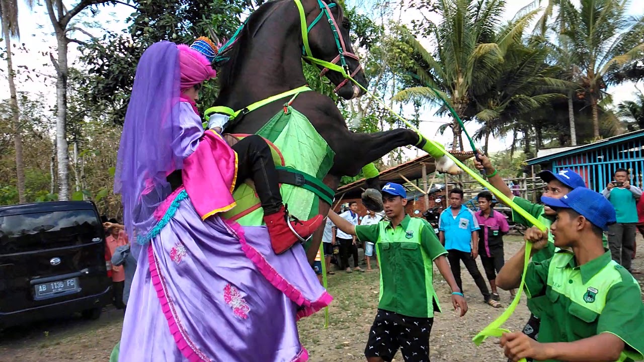 Kuda Berjalan Hanya Dengan Dua Kaki