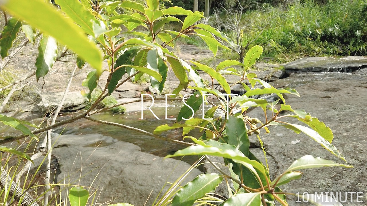 10 minute reset | Nature sounds | Glenrock Conservation Park NSW.
