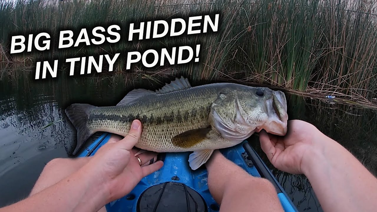 TEXAS KAYAK BASS FISHING (Non Stop Topwater Action!)