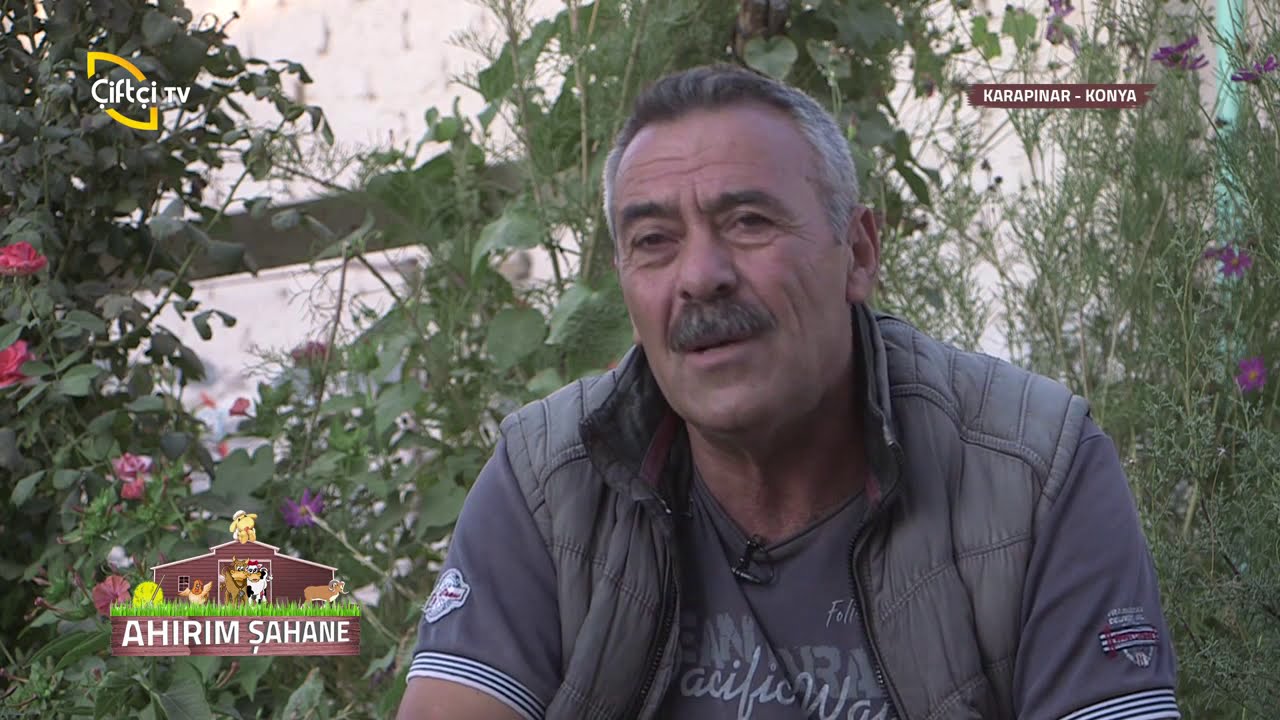 Ahırım Şahane-Konya Karapınar
