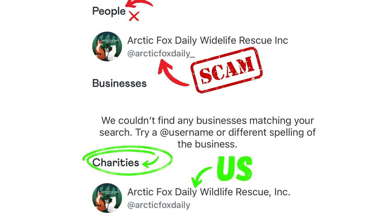 Scammers are taking donations from our wildlife rescue - Please stay aware