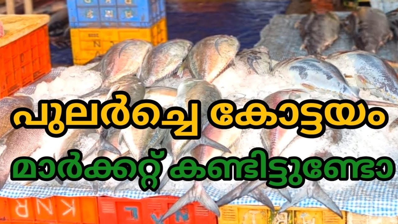 കോട്ടയം മാർക്കറ്റിലെ തനി നാടൻ കാഴ്ചകൾ ഒരു കിലോമീറ്റർ നീളുന്ന കച്ചവടം