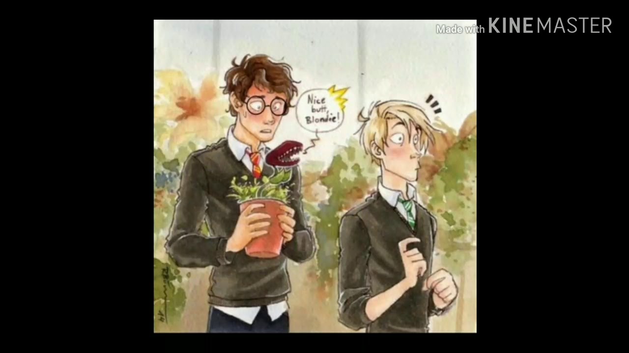 Pt.1 Married and pregnant (drarry fanfic) New Series