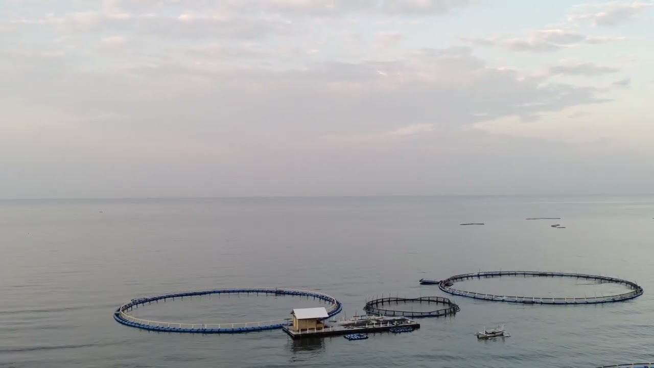Drone mancing di laut 