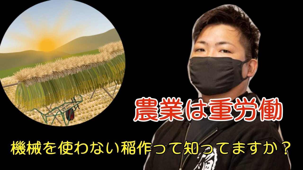 【丹後の放送部】機械を使わない稲作知っていますか？
