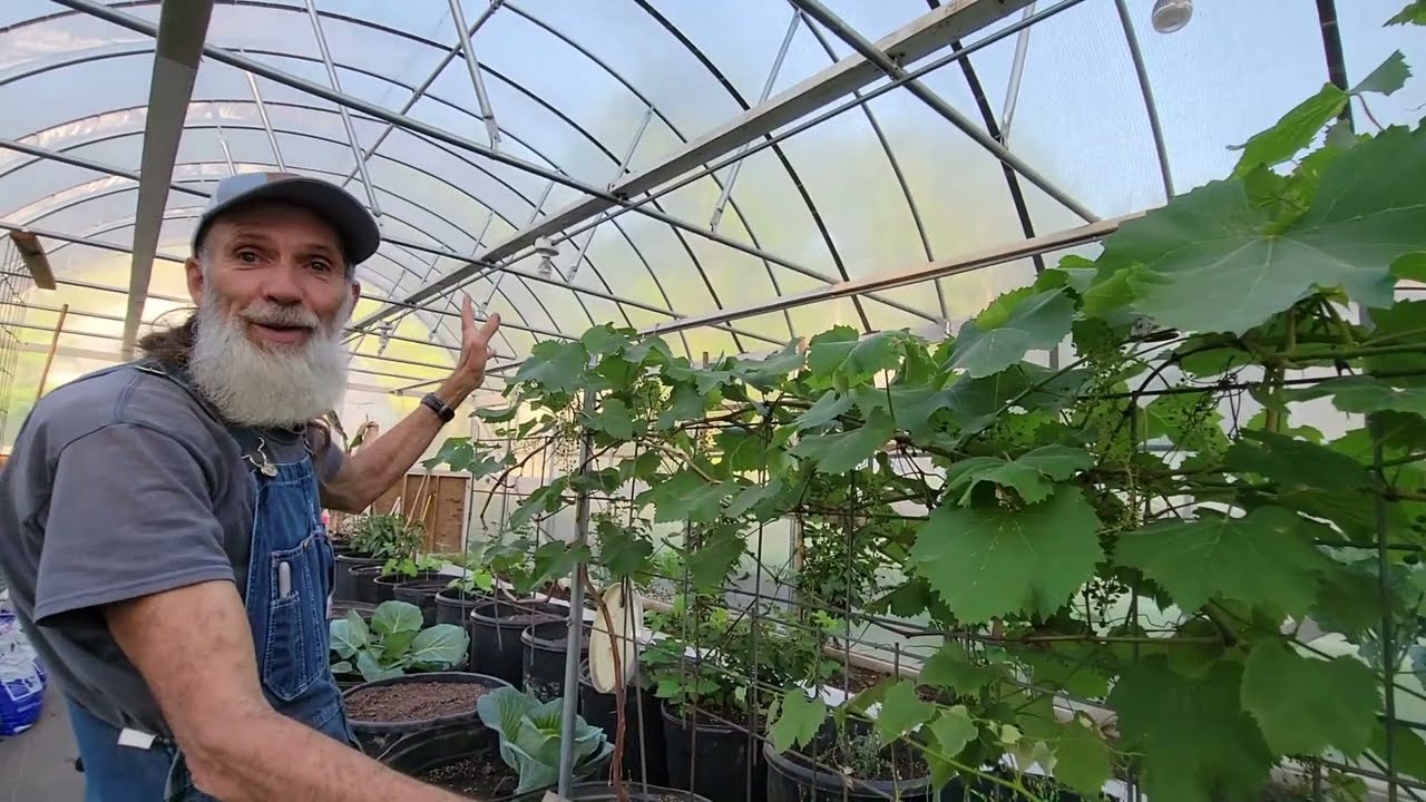 Can I Grow These in the South?  High Tunnel Tour April 2022