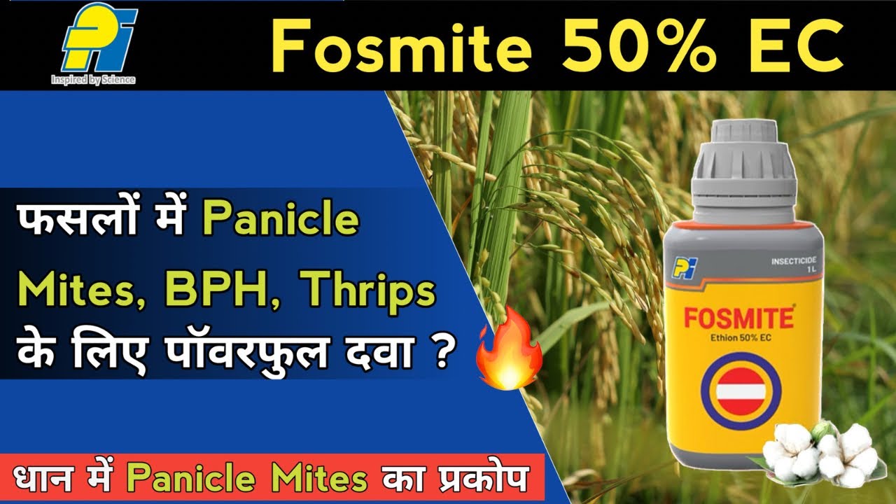 Pi Fosmite 50 | धान में Panicle Mites & Brown Plant Hopper के लिए बेस्ट कीटनाशक | Ethion 50% EC