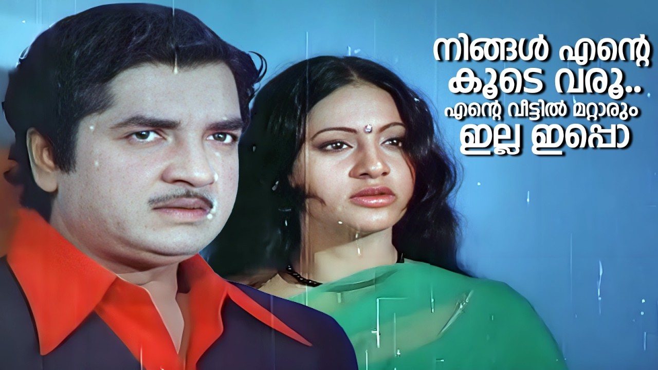 നിങ്ങൾ എൻ്റെ കൂടെ വരൂ..എൻ്റെ വീട്ടിൽ മറ്റാരും ഇല്ല ഇപ്പൊ | Vijayanum Veeranum | Prem Nazir & Seema