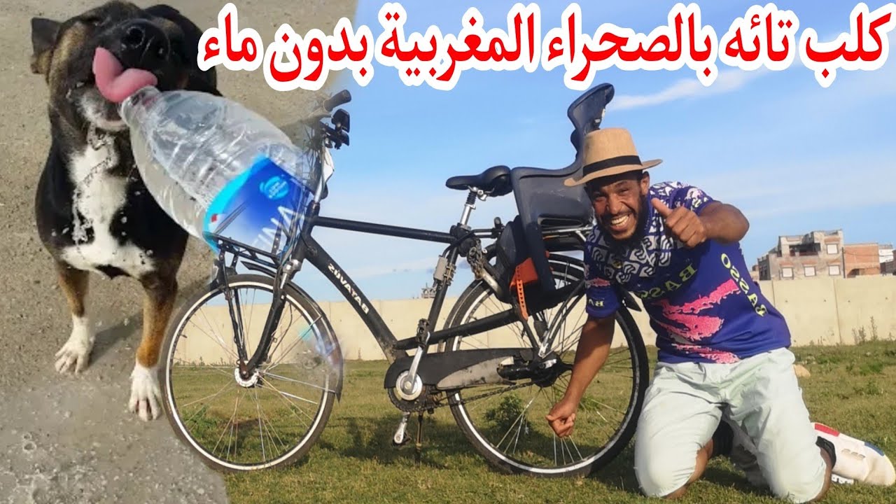 بقلب الصحراء المغربية رأيت كلب يموت من شدت العطش شاهد كيف كانت النهاية ومساعدتي له بطريقة غريبة