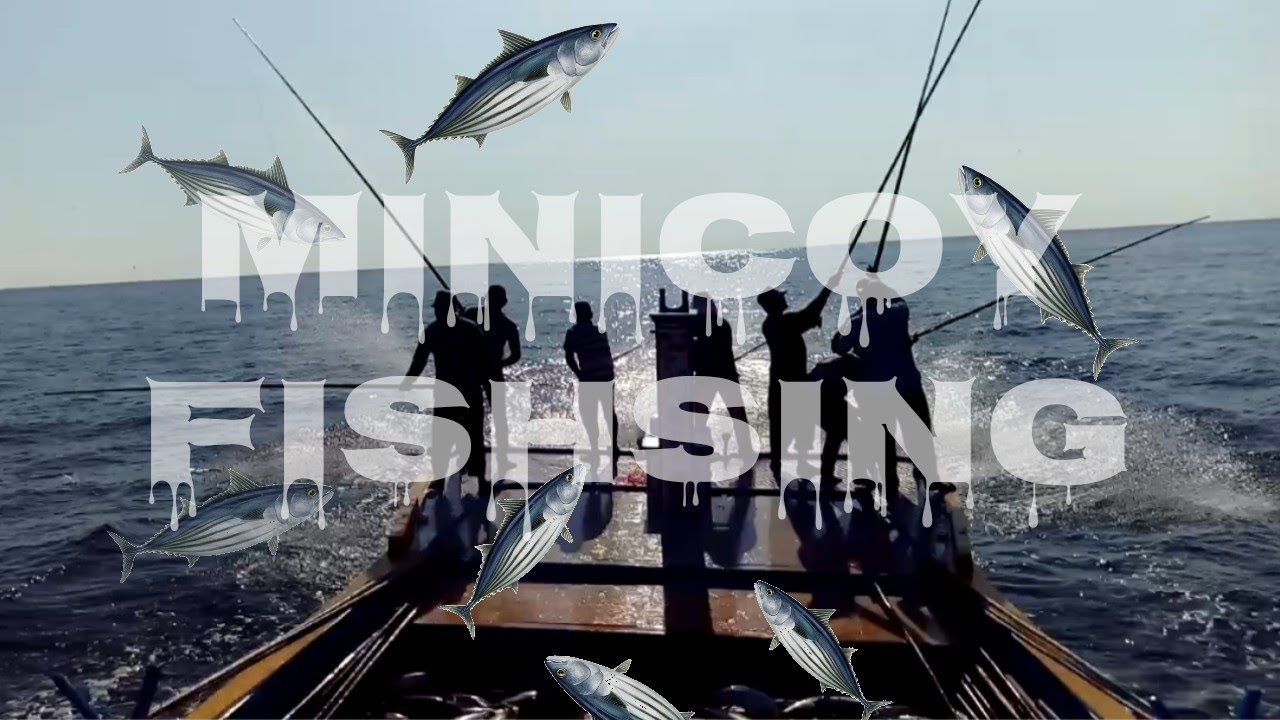 LAKSHADWEEP #MINICOY ISLAND 🇮🇳 CATCHING TUNA FISH PART 2# 🐟🐟🐟