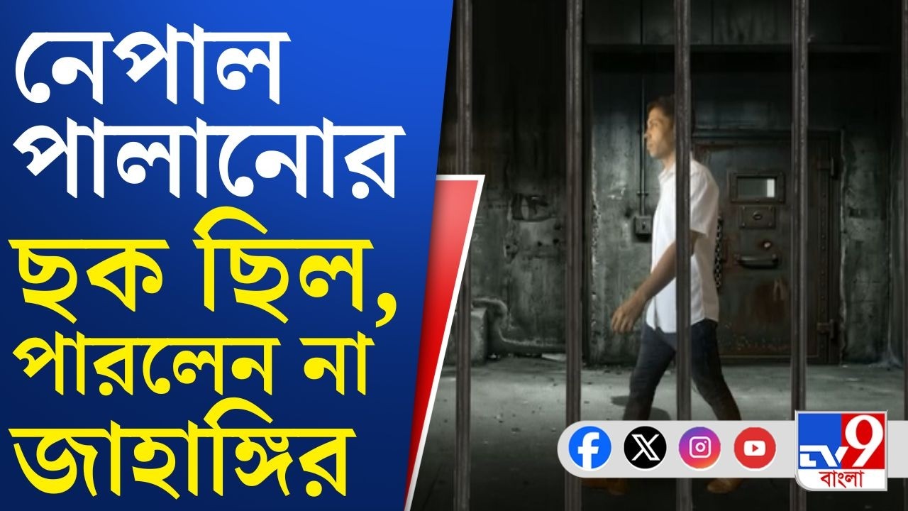 Falta News, Jahangir Khan Arrested: রাজ্য STF-এর জালে দাপুটে তৃণমূল নেতা জাহাঙ্গির খান! | Breaking