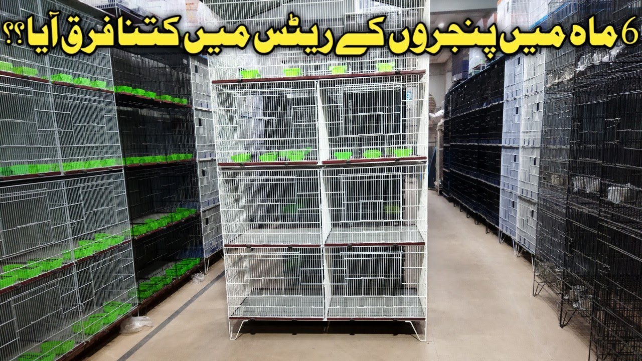 Current Price Of Cages At Five Star|| Cage Shop Karachi 2022 ||Shreefabad Cage Market ||B4BIRDS