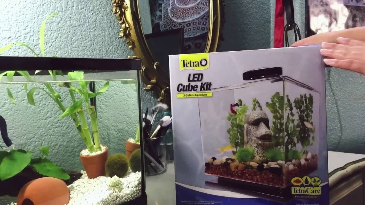 Unboxing: Tetra 3 Gallon Aquarium Cube & Setup For Betta