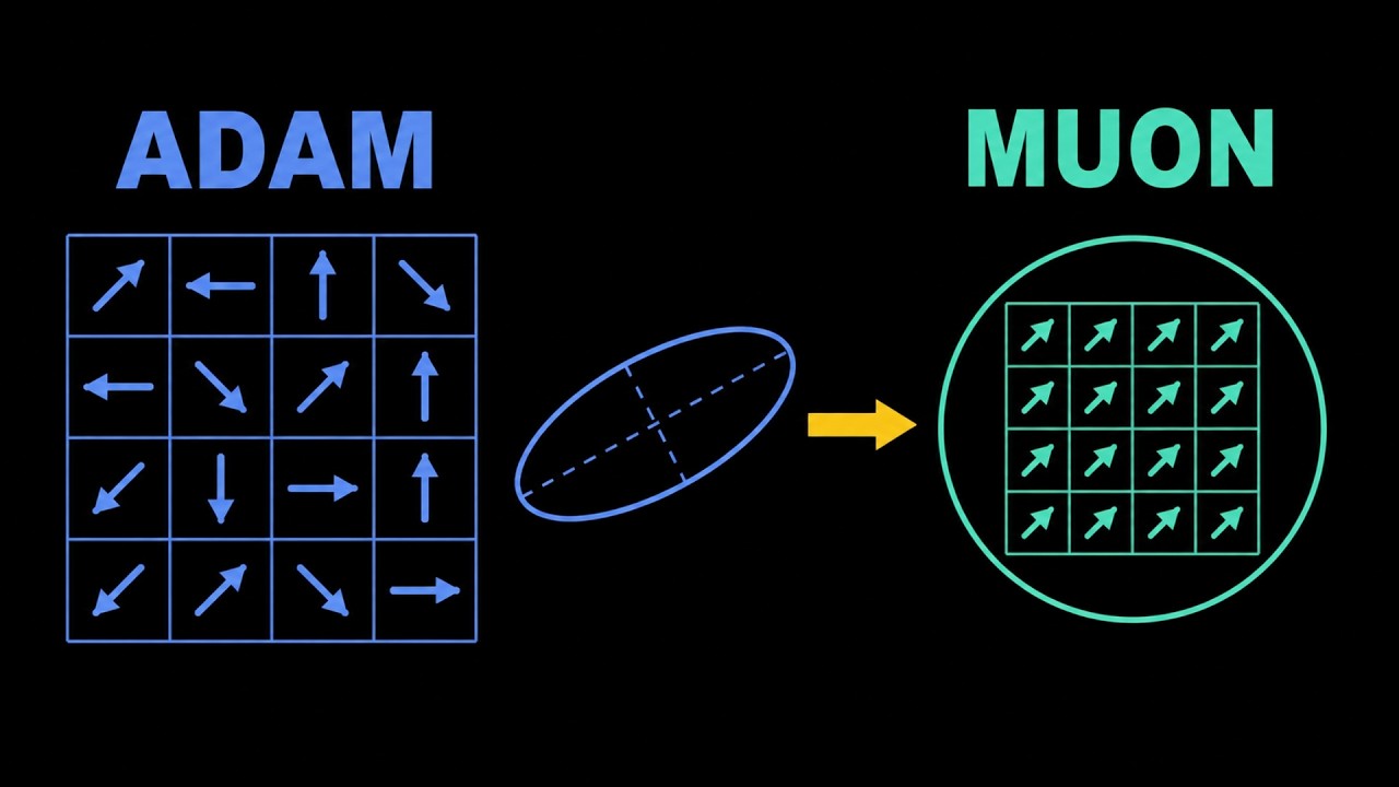 Muon Explained: Adam's First Real Challenger