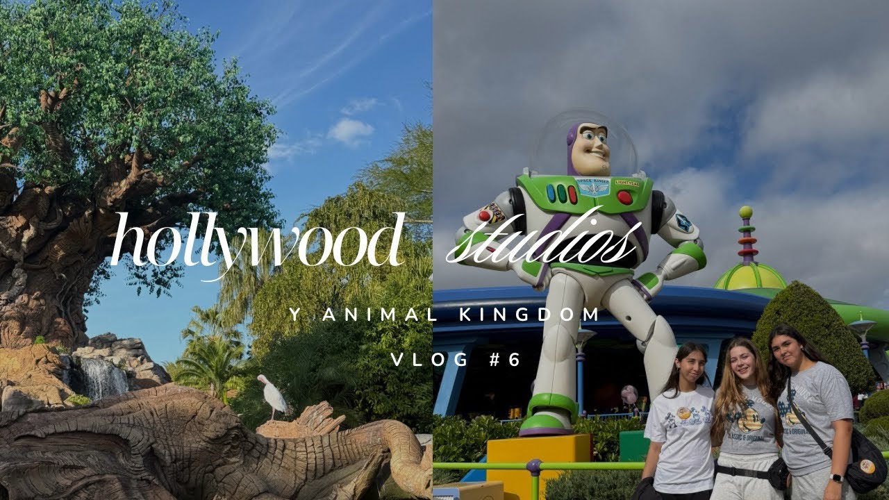 Fuimos a Hollywood Studios y Animal kingdom + haul