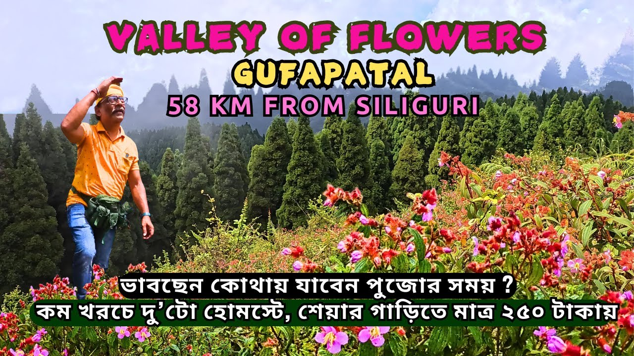 Valley of Flowers | ভারত নেপাল সীমান্তের ছোট্ট গ্রাম | Gufapatal Nepal | Offbeat Darjeeling | Mirk |