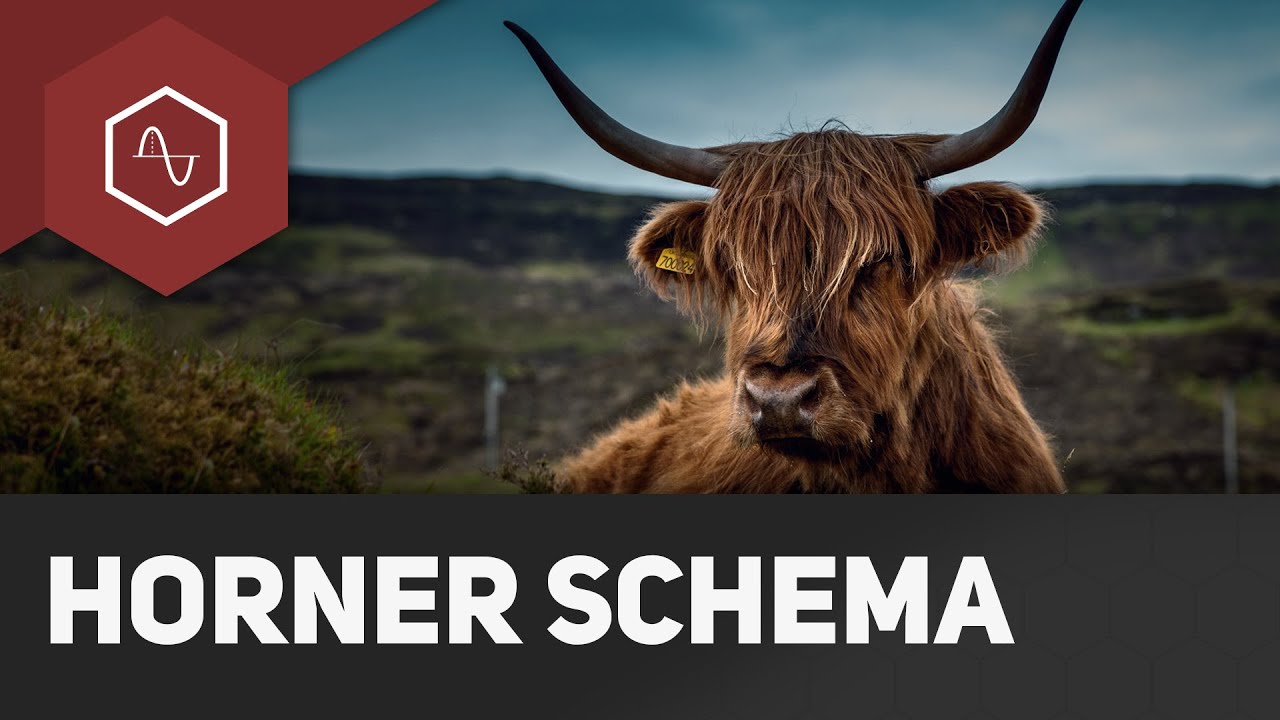Horner-Schema erklärt - Nullstellen leicht gemacht