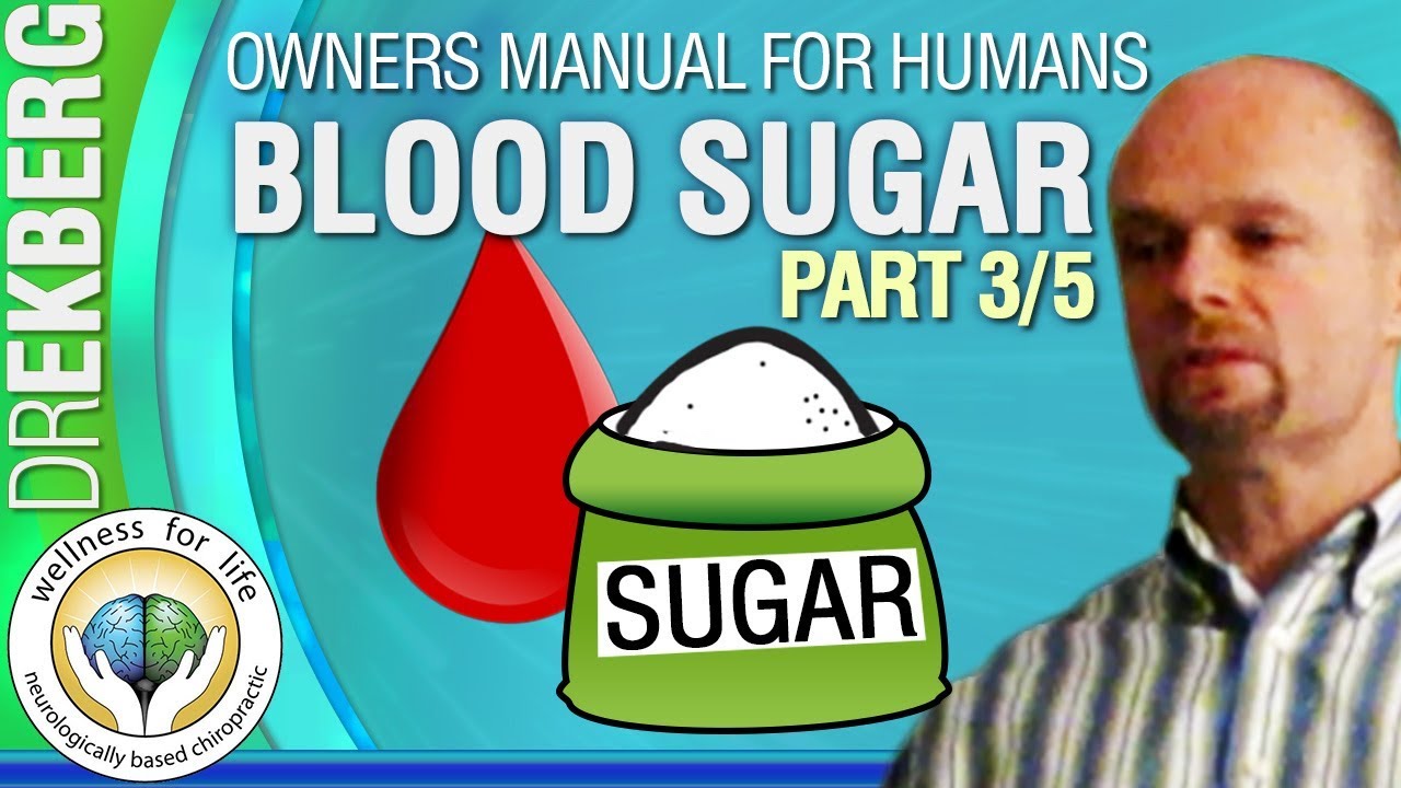 Blood Sugar Explained Pt5 3/5 User Manual For Humans