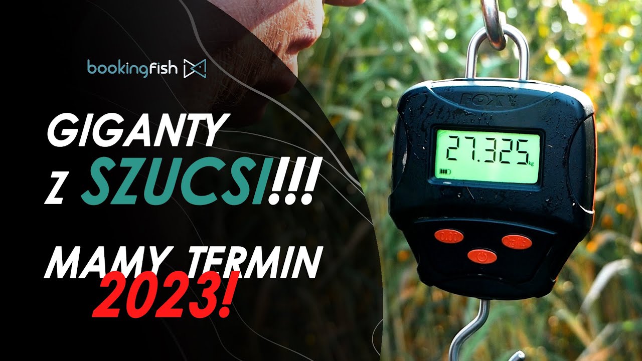 SZUCSI - WĘGRY