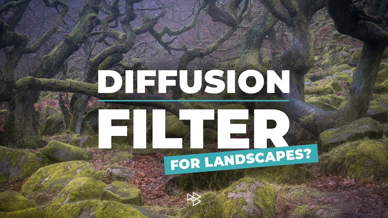 Can You Use a Diffusion Filter for Landscape Photography?