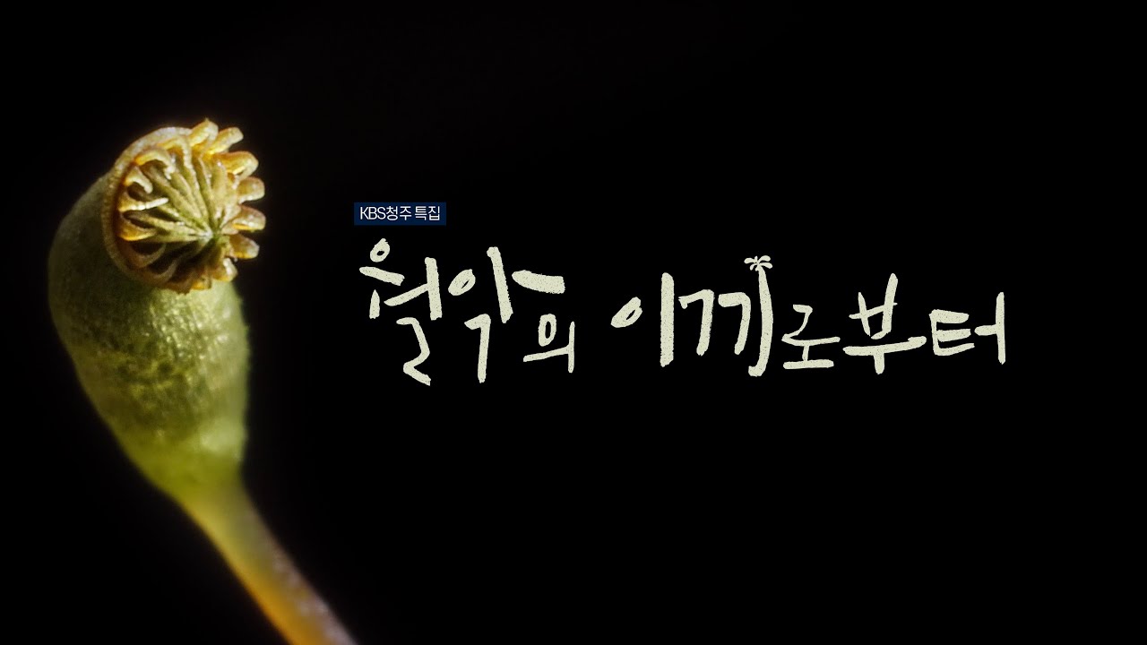 KBS청주 특집 다큐멘터리 